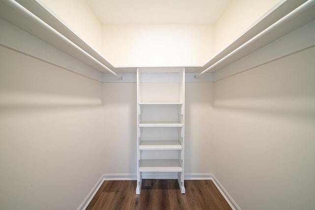 walk in closet with dark wood-type flooring