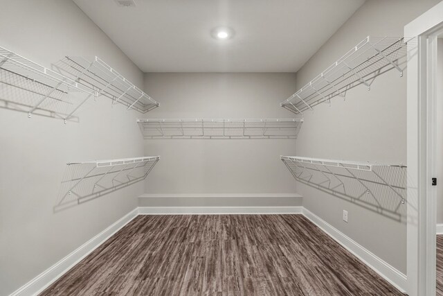 204 Lee Rd Unit 0334, Salem, AL 36874 - spacious closet with wood finished floors
