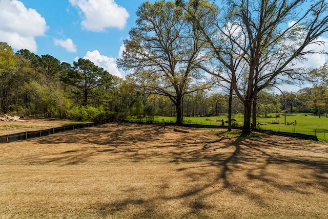 204 Lee Rd Unit 0334, Salem, AL 36874 - view of yard