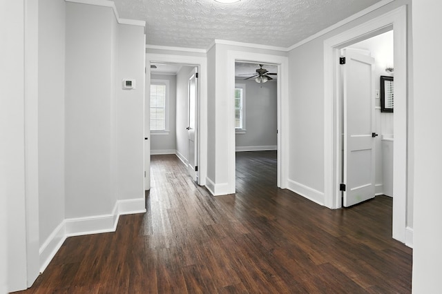 2901 Peabody Ave, Columbus, GA 31904 - hall with dark wood-type flooring, crown molding, and a textured ceiling