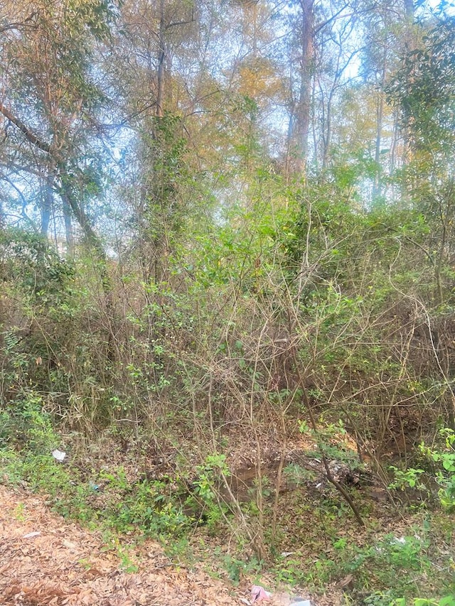 0 4th St, Phenix City, AL 36869 - photo 4