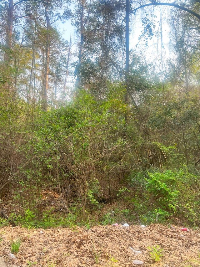 0 4th St, Phenix City, AL 36869 - photo 1