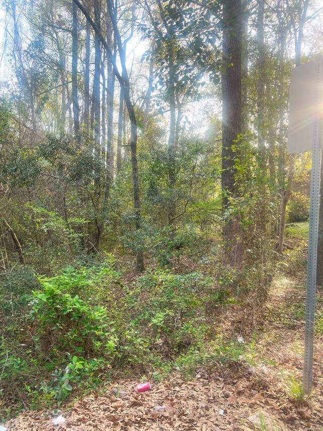 0 4th St, Phenix City, AL 36869 - photo 2
