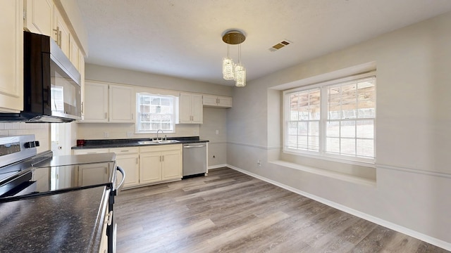 kitchen with appliances with stainless steel finishes, a wealth of natural light, decorative light fixtures, sink, and light hardwood / wood-style floors