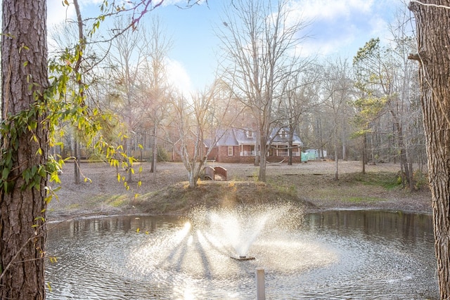 view of yard with a water view