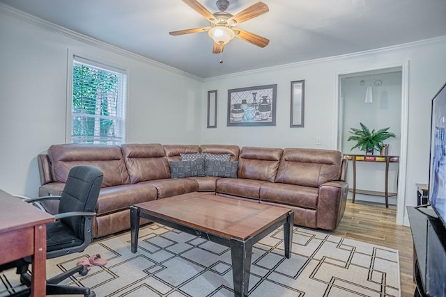 living room with crown molding, ceiling fan, and light hardwood / wood-style floors