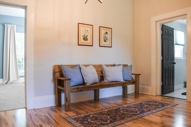 interior space with light wood-type flooring and plenty of natural light