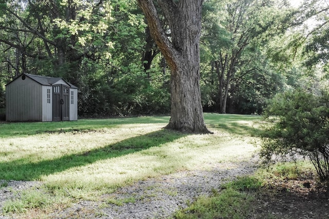 view of yard featuring a shed