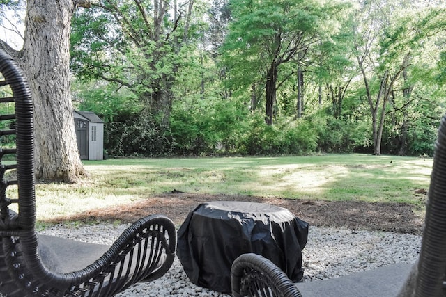 view of yard with a storage unit