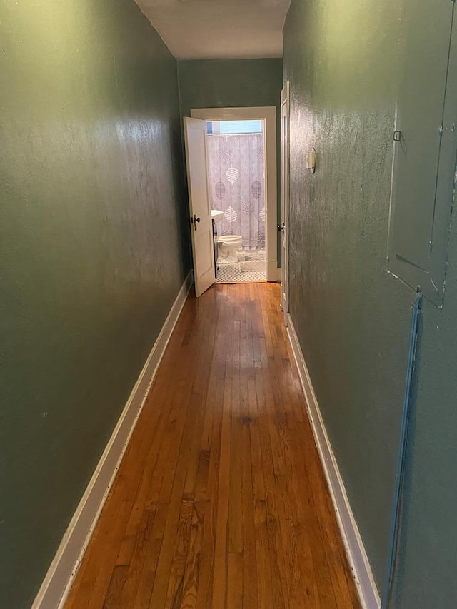 hallway featuring hardwood / wood-style floors