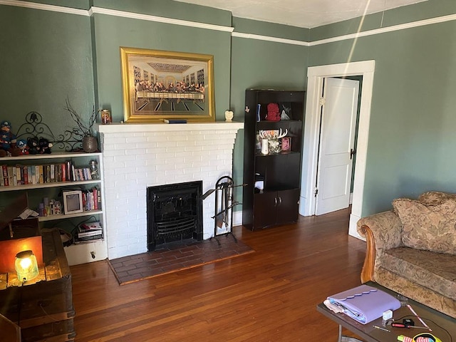 living room featuring a fireplace and dark wood-type flooring