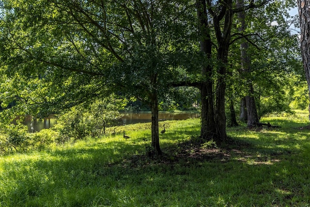6215 Seaton Dr, Columbus, GA 31909 - view of local wilderness with a nearby body of water