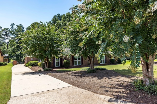 6215 Seaton Dr, Columbus, GA 31909 - obstructed view of property featuring driveway, brick siding, and a front lawn