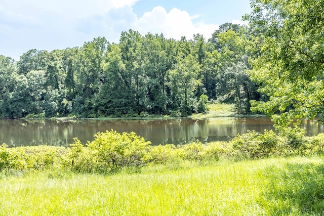 6215 Seaton Dr, Columbus, GA 31909 - water view featuring a heavily wooded area