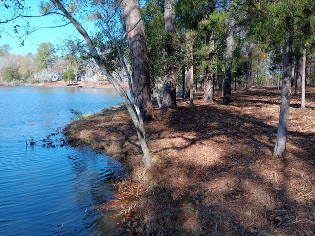 Listing photo 2 for 508 Sweetwater Dr, Cataula GA 31804