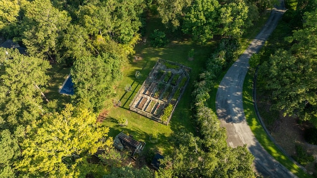 7209 Williams Hill Rd, Columbus, GA 31904 - photo 15