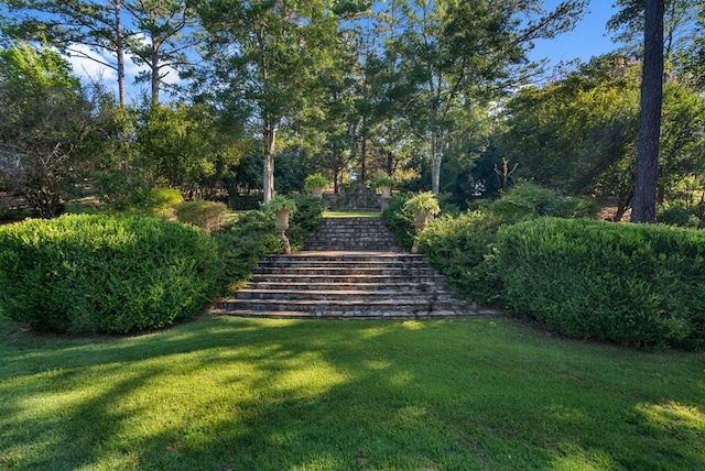 7209 Williams Hill Rd, Columbus, GA 31904 - photo 67