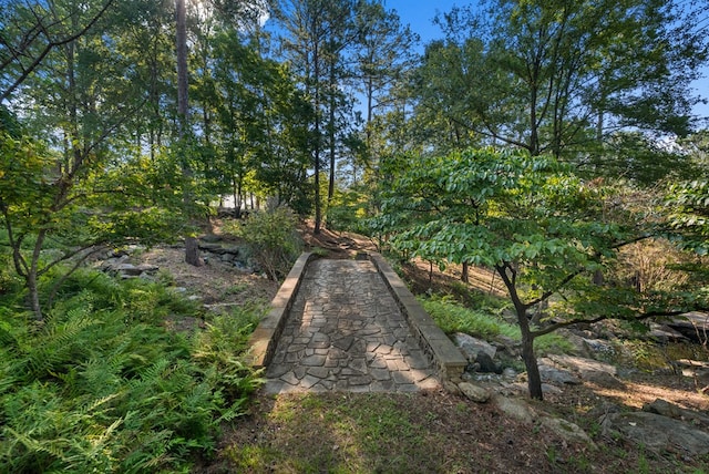 7209 Williams Hill Rd, Columbus, GA 31904 - photo 69