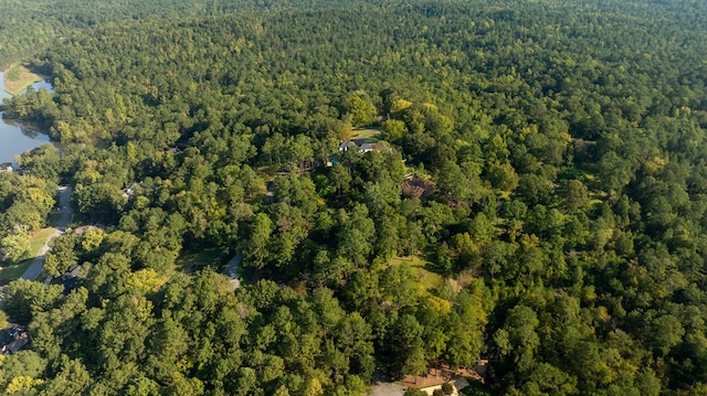 7209 Williams Hill Rd, Columbus, GA 31904 - photo 76