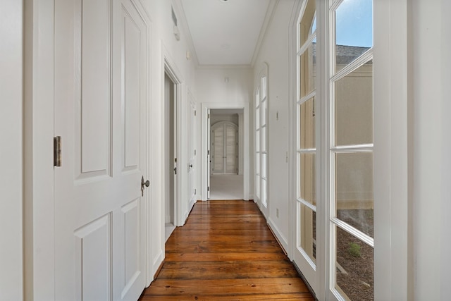 hallway featuring crown molding and dark hardwood / wood-style floors