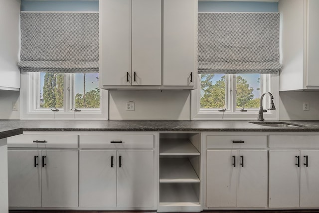 kitchen featuring white cabinetry, sink, and a healthy amount of sunlight