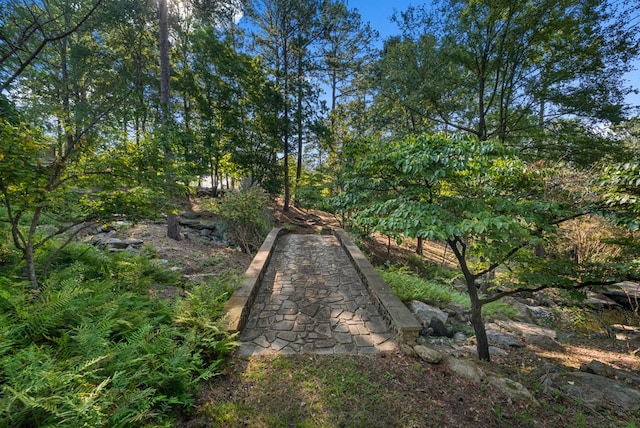 view of local wilderness