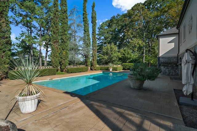 view of pool with a patio