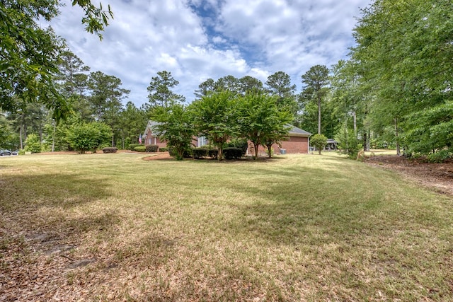 1000 Gramercy Dr, Midland, GA 31820 - view of grassy yard