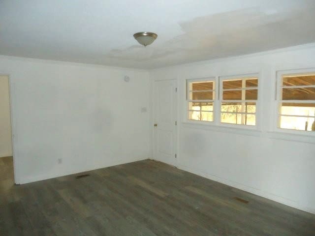 spare room featuring dark wood-type flooring and a wealth of natural light
