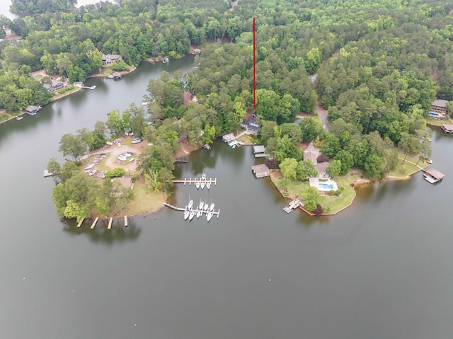 566 Longview Dr, Hamilton, GA 31811 - aerial view of a large body of water