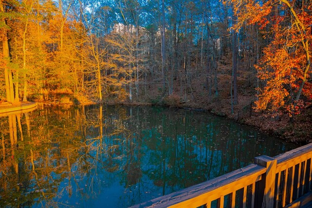 556 Cedar Dr, Hamilton, GA 31811 - photo 46
