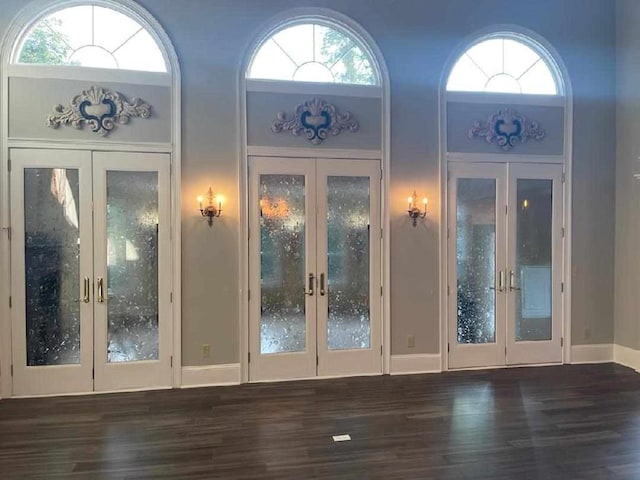 doorway to outside featuring dark hardwood / wood-style flooring, a wealth of natural light, and french doors