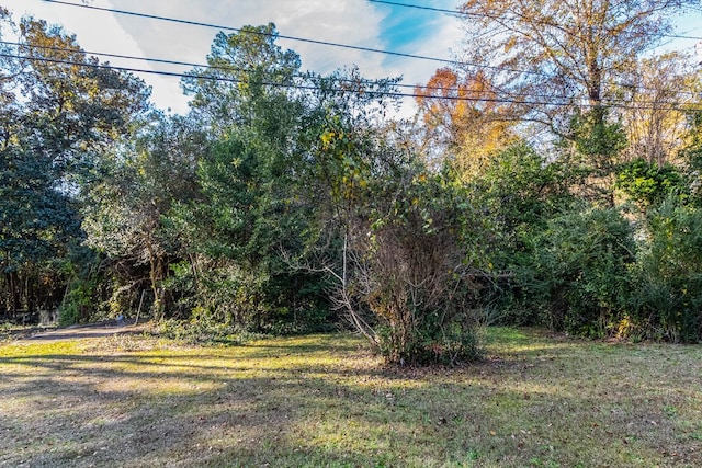 935 Watson Dr, Columbus, GA 31907 - photo 3