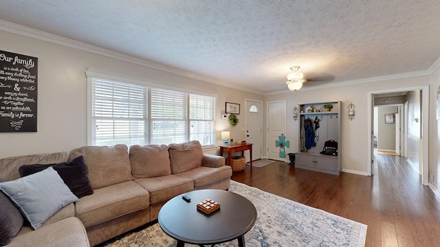 4042 Lyn Dr, Columbus, GA 31909 - living area featuring dark wood-style floors, ornamental molding, and a textured ceiling