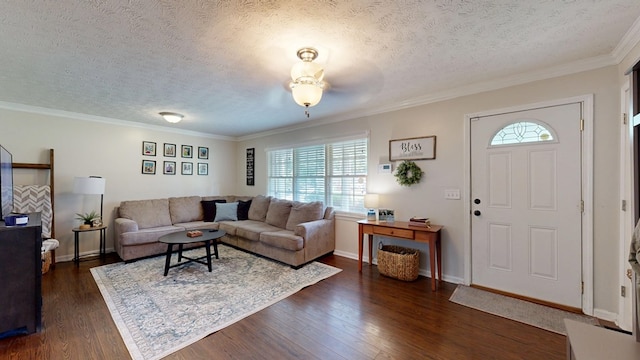 4042 Lyn Dr, Columbus, GA 31909 - living area with dark wood-style flooring, a textured ceiling, and ornamental molding