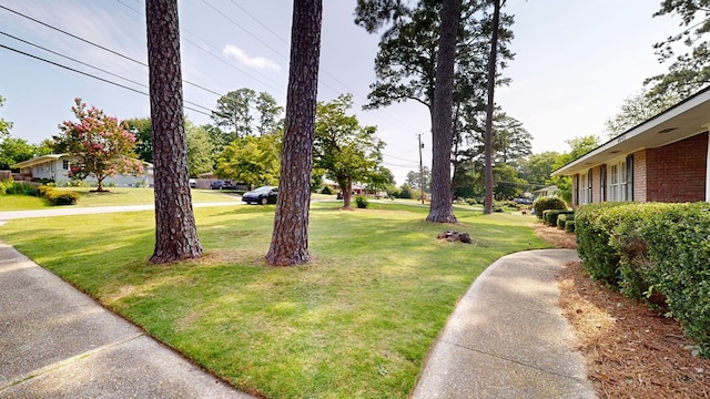 4042 Lyn Dr, Columbus, GA 31909 - view of grassy yard