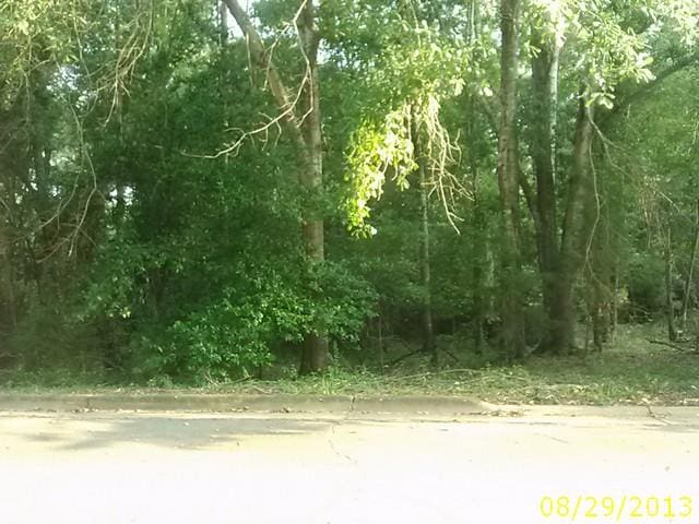 0 Thomas Rd, Lumpkin, GA 31815 - photo 1