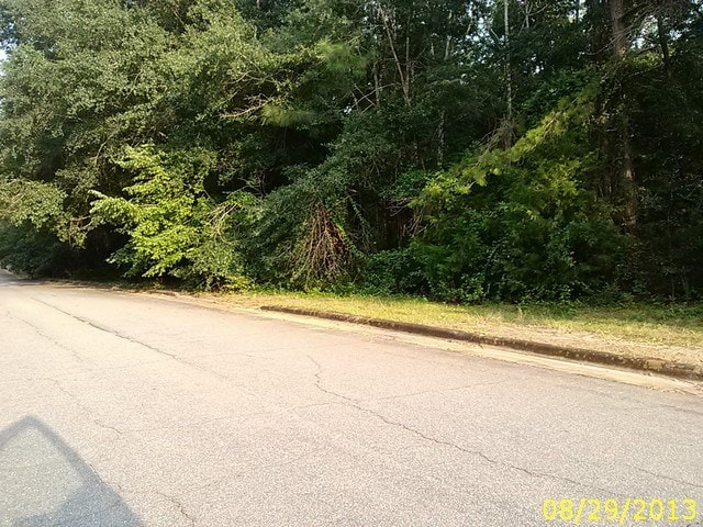 0 Thomas Rd, Lumpkin, GA 31815 - photo 5