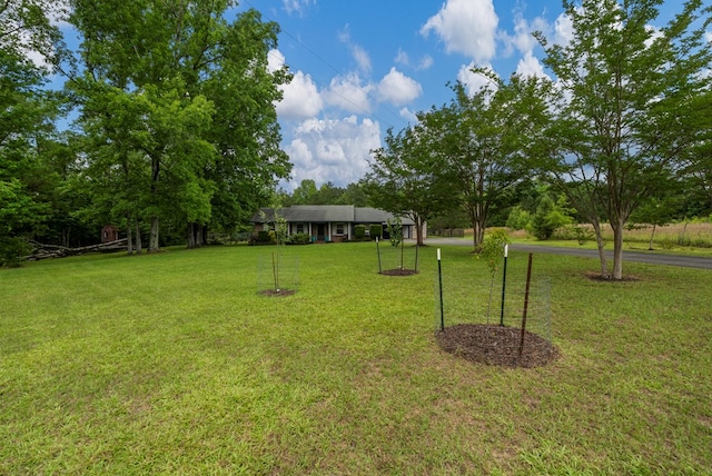 3264 Columbus Hwy, Box Springs, GA 31801 - view of green lawn