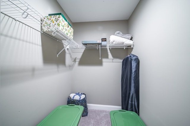 walk in closet featuring carpet flooring