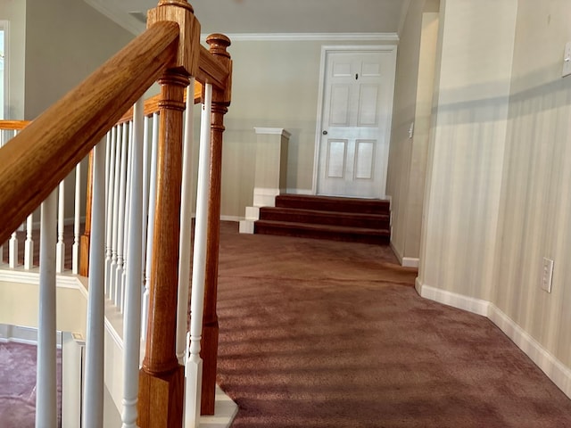 stairway with carpet and ornamental molding