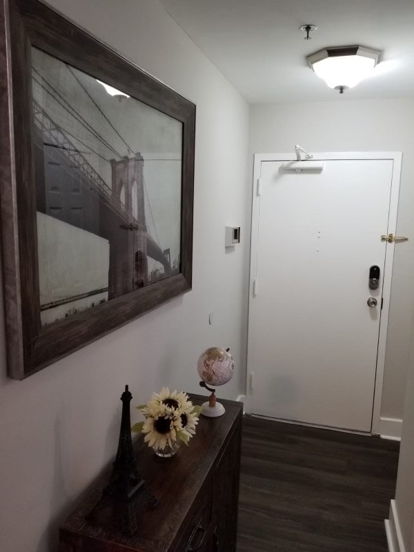 doorway with dark hardwood / wood-style floors