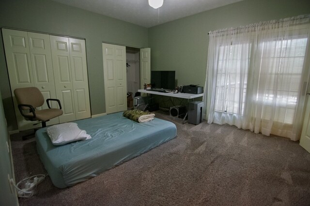 4200 Bridgecrest Dr Unit E4, Phenix City, AL 36867 - bedroom featuring carpet and two closets