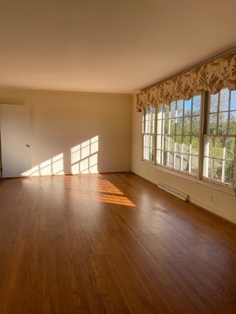 spare room with dark wood-type flooring