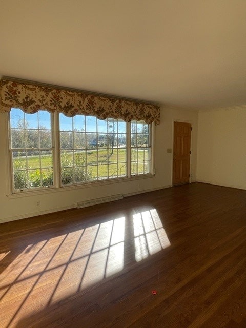 spare room with a baseboard heating unit and dark wood-type flooring