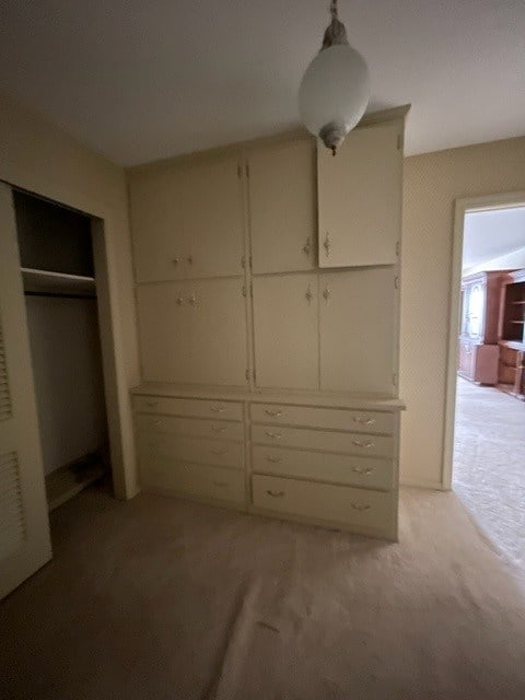 unfurnished bedroom featuring light colored carpet and a closet