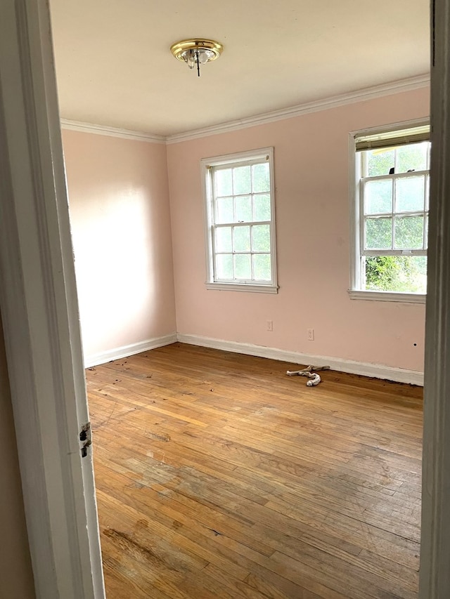 empty room with light wood-type flooring and crown molding