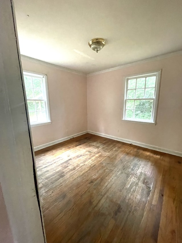 empty room featuring crown molding and dark hardwood / wood-style flooring