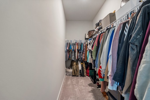 10 Red Maple St, Phenix City, AL 36869 - walk in closet with carpet flooring