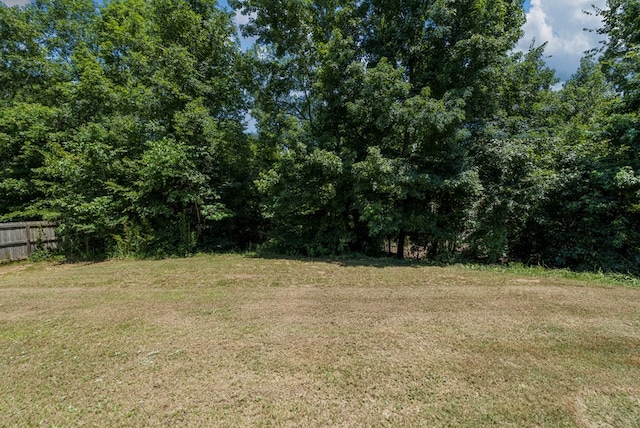 10 Red Maple St, Phenix City, AL 36869 - view of yard